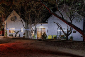 Holistic Hive House